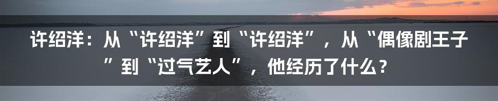 许绍洋：从“许绍洋”到“许绍洋”，从“偶像剧王子”到“过气艺人”，他经历了什么？