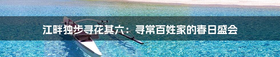江畔独步寻花其六：寻常百姓家的春日盛会