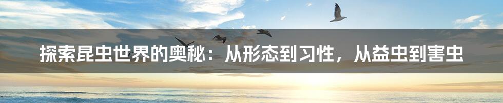 探索昆虫世界的奥秘:从形态到习性,从益虫到害虫