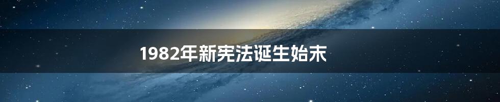 1982年新宪法诞生始末