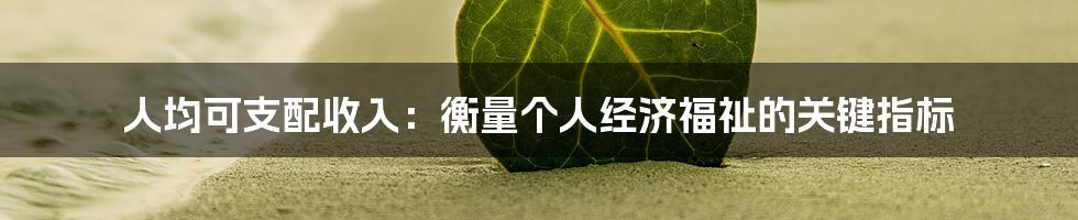 人均可支配收入:衡量个人经济福祉的关键指标