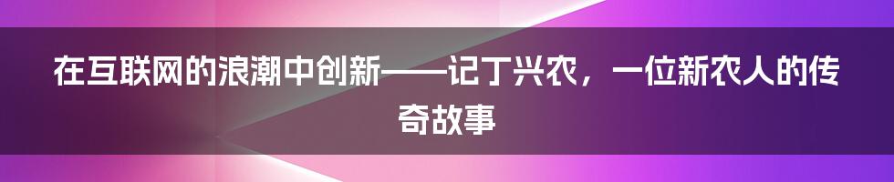 在互联网的浪潮中创新——记丁兴农,一位新农人的传奇故事