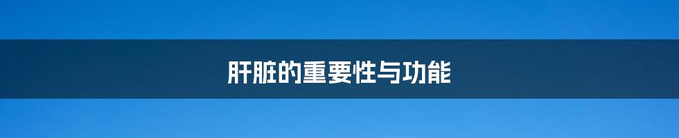 肝脏的重要性与功能