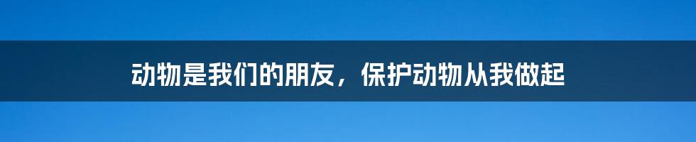 动物是我们的朋友，保护动物从我做起