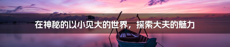 在神秘的以小见大的世界，探索大夫的魅力