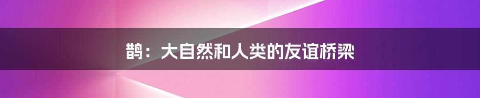 鹊:大自然和人类的友谊桥梁