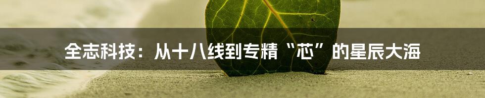 全志科技:从十八线到专精“芯”的星辰大海