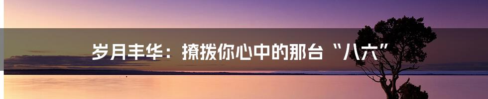 岁月丰华:撩拨你心中的那台“八六”