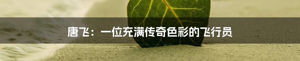 唐飞：一位充满传奇色彩的飞行员