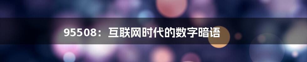 95508:互联网时代的数字暗语