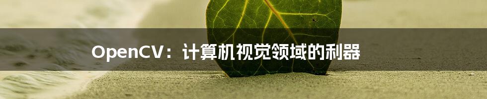 OpenCV：计算机视觉领域的利器