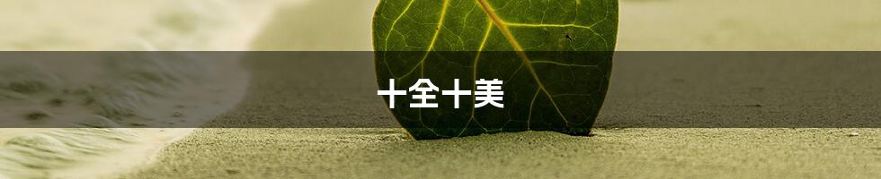 十全十美