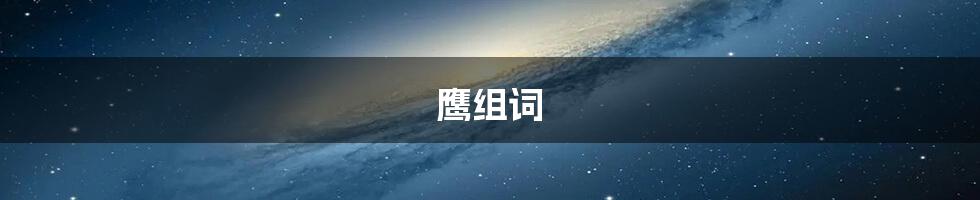 鹰组词