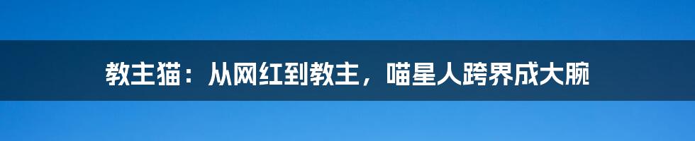 教主猫:从网红到教主,喵星人跨界成大腕