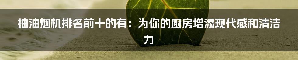 抽油烟机排名前十的有：为你的厨房增添现代感和清洁力