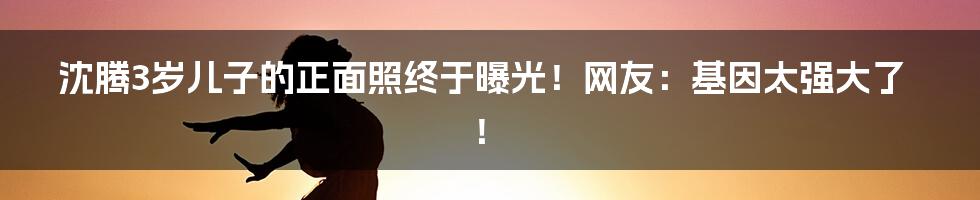 沈腾3岁儿子的正面照终于曝光！网友：基因太强大了！