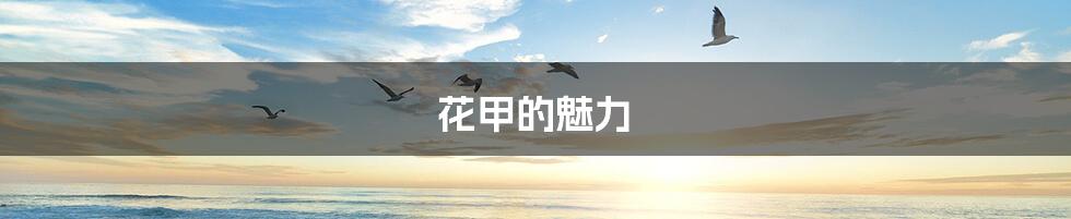 花甲的魅力