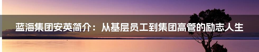 蓝海集团安英简介:从基层员工到集团高管的励志人生