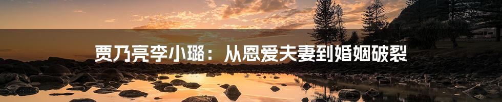 贾乃亮李小璐：从恩爱夫妻到婚姻破裂