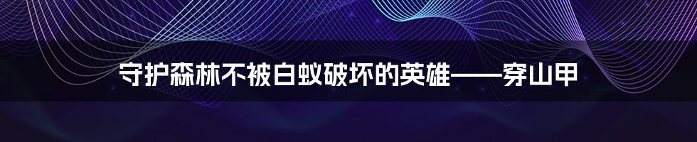 守护森林不被白蚁破坏的英雄——穿山甲