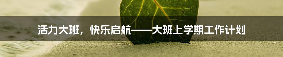 活力大班，快乐启航——大班上学期工作计划