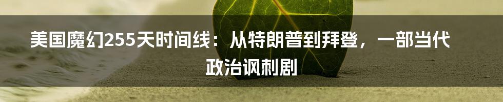 美国魔幻255天时间线:从特朗普到拜登,一部当代政治讽刺剧