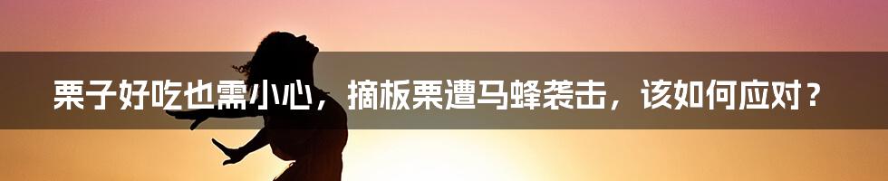 栗子好吃也需小心，摘板栗遭马蜂袭击，该如何应对？