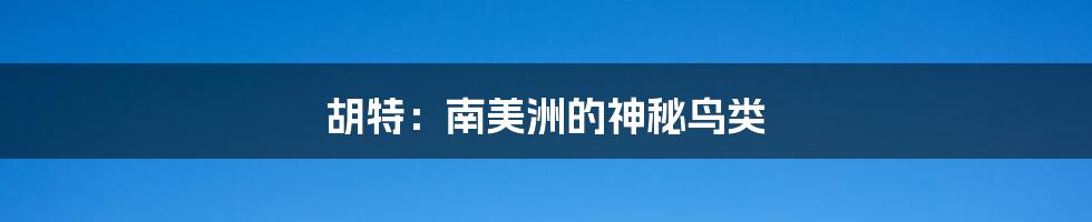 胡特:南美洲的神秘鸟类