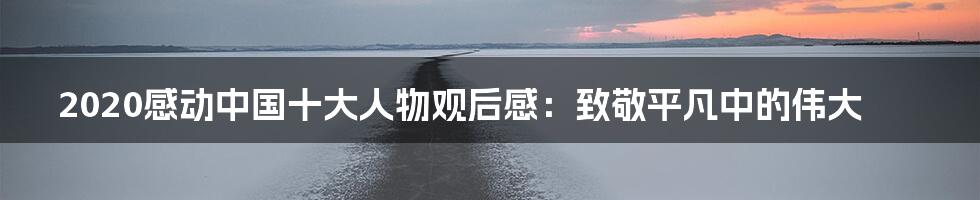 2020感动中国十大人物观后感:致敬平凡中的伟大