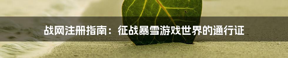 战网注册指南：征战暴雪游戏世界的通行证