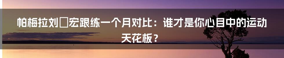 帕梅拉刘畊宏跟练一个月对比：谁才是你心目中的运动天花板？