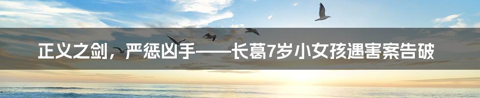 正义之剑,严惩凶手——长葛7岁小女孩遇害案告破
