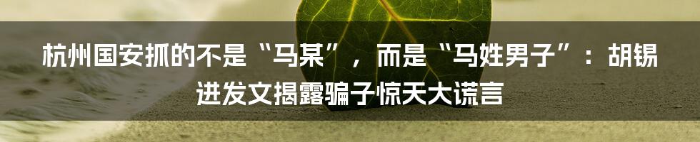杭州国安抓的不是“马某”，而是“马姓男子”：胡锡进发文揭露骗子惊天大谎言