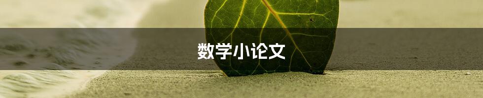 数学小论文