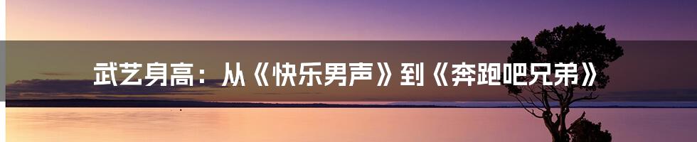 武艺身高：从《快乐男声》到《奔跑吧兄弟》