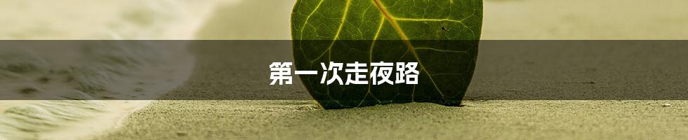 第一次走夜路