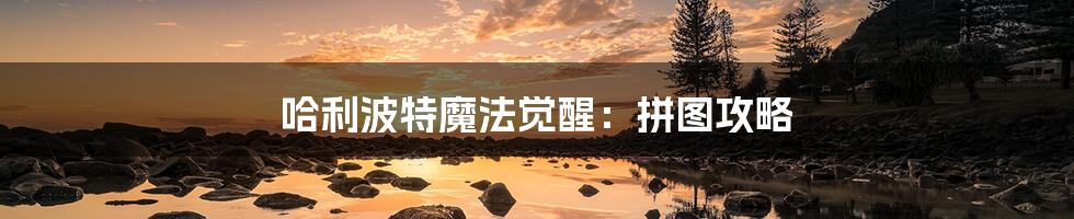 哈利波特魔法觉醒：拼图攻略