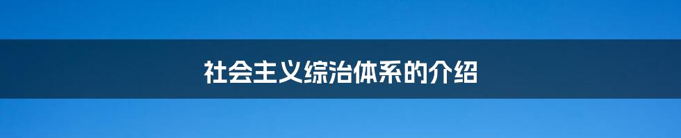 社会主义综治体系的介绍