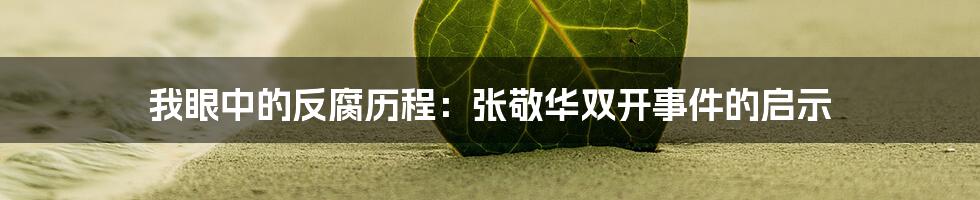 我眼中的反腐历程：张敬华双开事件的启示