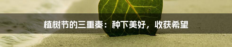 植树节的三重奏:种下美好,收获希望