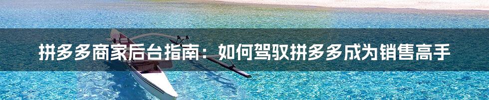 拼多多商家后台指南:如何驾驭拼多多成为销售高手