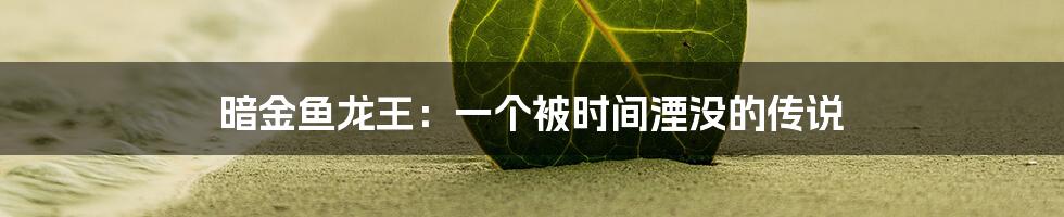 暗金鱼龙王：一个被时间湮没的传说