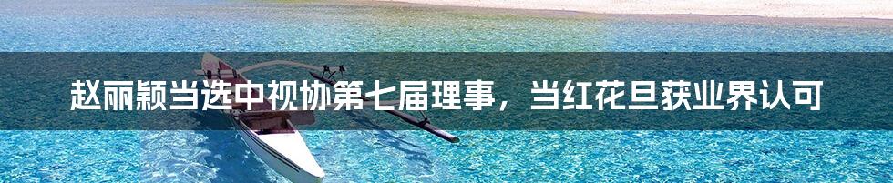 赵丽颖当选中视协第七届理事，当红花旦获业界认可