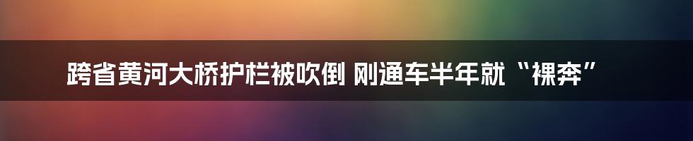 跨省黄河大桥护栏被吹倒 刚通车半年就“裸奔”