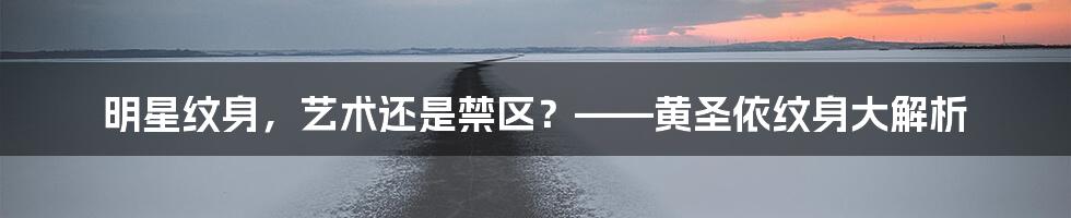 明星纹身，艺术还是禁区？——黄圣依纹身大解析