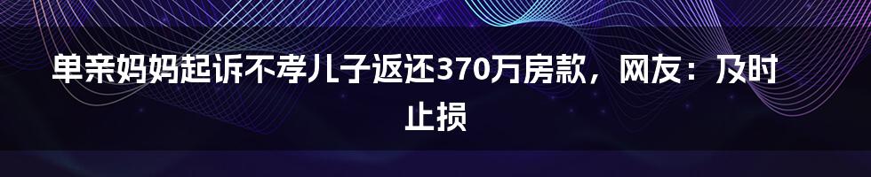 单亲妈妈起诉不孝儿子返还370万房款，网友：及时止损