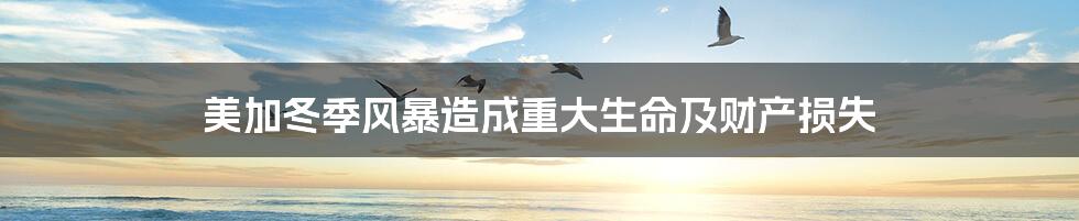 美加冬季风暴造成重大生命及财产损失