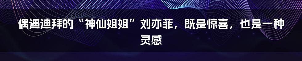 偶遇迪拜的“神仙姐姐”刘亦菲,既是惊喜,也是一种灵感