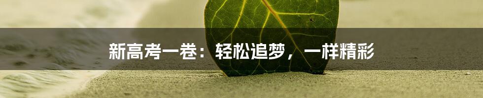新高考一卷:轻松追梦,一样精彩