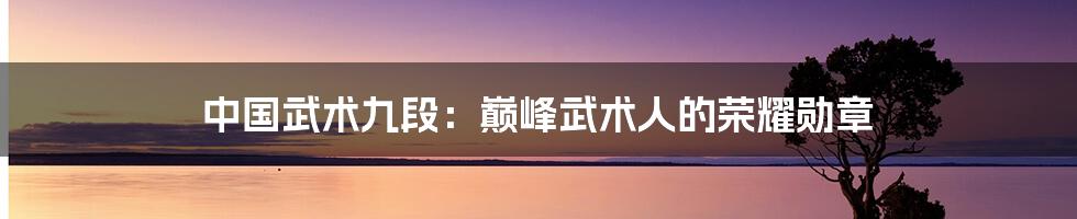 中国武术九段:巅峰武术人的荣耀勋章